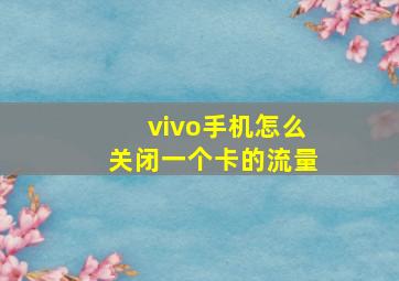 vivo手机怎么关闭一个卡的流量