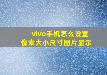 vivo手机怎么设置像素大小尺寸图片显示