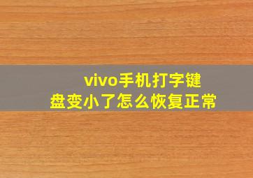 vivo手机打字键盘变小了怎么恢复正常