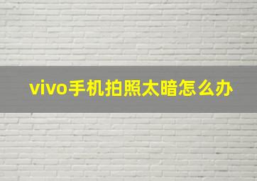 vivo手机拍照太暗怎么办