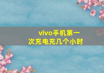 vivo手机第一次充电充几个小时