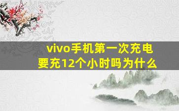 vivo手机第一次充电要充12个小时吗为什么