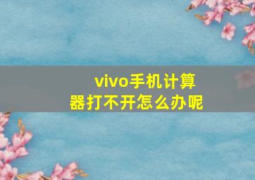 vivo手机计算器打不开怎么办呢