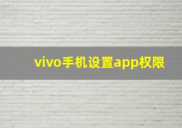 vivo手机设置app权限