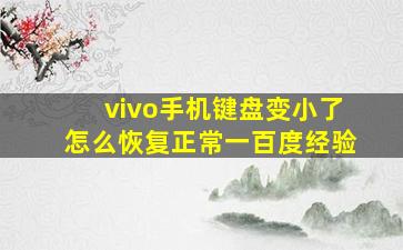 vivo手机键盘变小了怎么恢复正常一百度经验