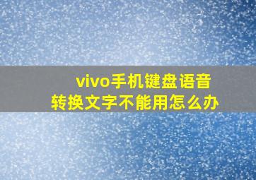 vivo手机键盘语音转换文字不能用怎么办