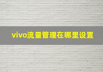 vivo流量管理在哪里设置