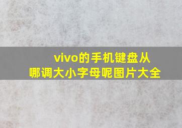 vivo的手机键盘从哪调大小字母呢图片大全