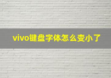 vivo键盘字体怎么变小了