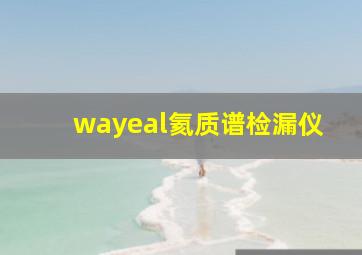 wayeal氦质谱检漏仪