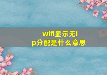 wifi显示无ip分配是什么意思