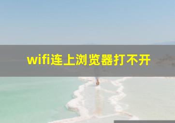 wifi连上浏览器打不开