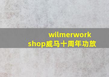 wilmerworkshop威马十周年功放