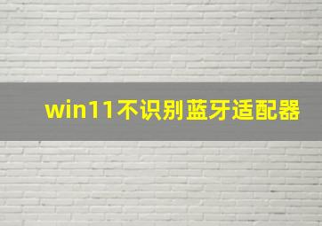 win11不识别蓝牙适配器