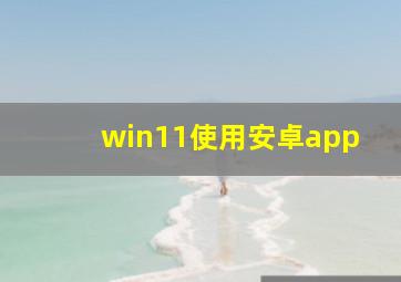 win11使用安卓app