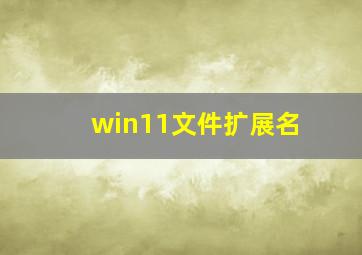 win11文件扩展名