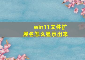 win11文件扩展名怎么显示出来