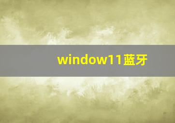 window11蓝牙