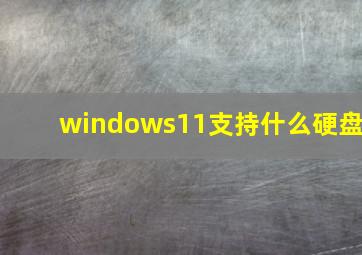 windows11支持什么硬盘