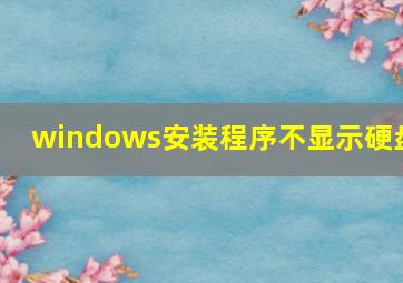 windows安装程序不显示硬盘