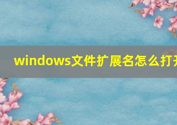 windows文件扩展名怎么打开