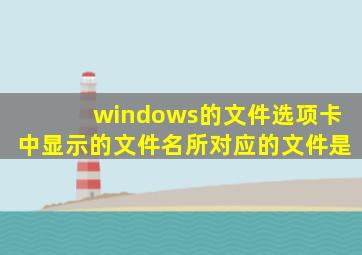 windows的文件选项卡中显示的文件名所对应的文件是