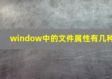 window中的文件属性有几种