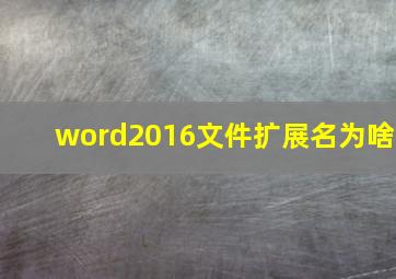 word2016文件扩展名为啥