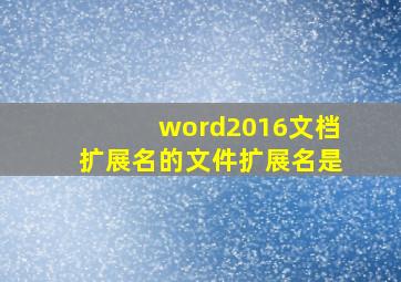 word2016文档扩展名的文件扩展名是