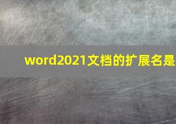 word2021文档的扩展名是