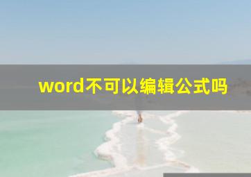 word不可以编辑公式吗