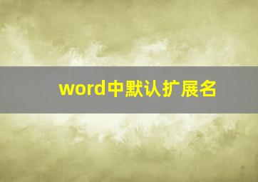 word中默认扩展名