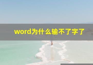 word为什么输不了字了