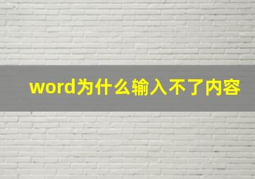 word为什么输入不了内容