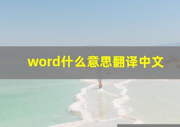 word什么意思翻译中文