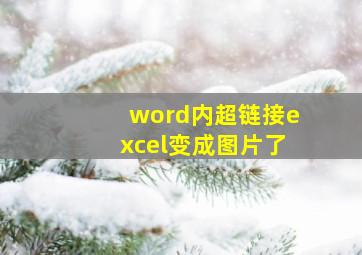 word内超链接excel变成图片了