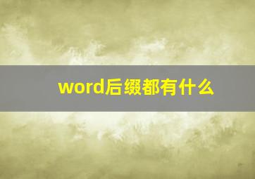 word后缀都有什么