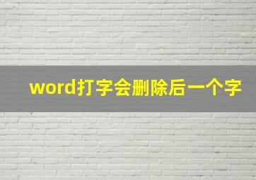 word打字会删除后一个字