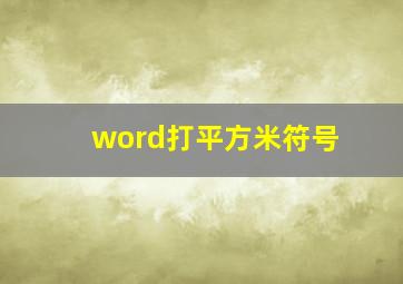 word打平方米符号