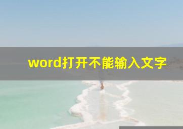 word打开不能输入文字