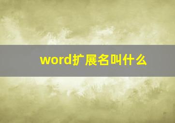 word扩展名叫什么