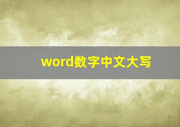 word数字中文大写