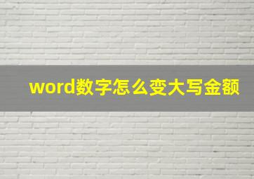 word数字怎么变大写金额