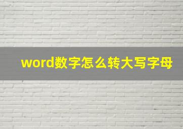 word数字怎么转大写字母