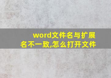 word文件名与扩展名不一致,怎么打开文件