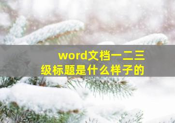 word文档一二三级标题是什么样子的