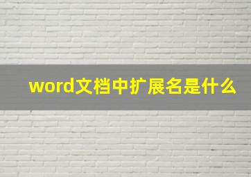 word文档中扩展名是什么