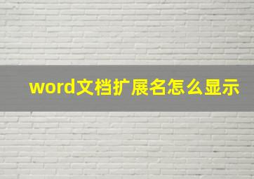 word文档扩展名怎么显示