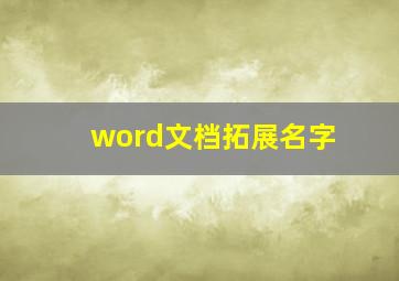 word文档拓展名字