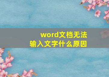 word文档无法输入文字什么原因